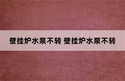 壁挂炉水泵不转 壁挂炉水泵不转